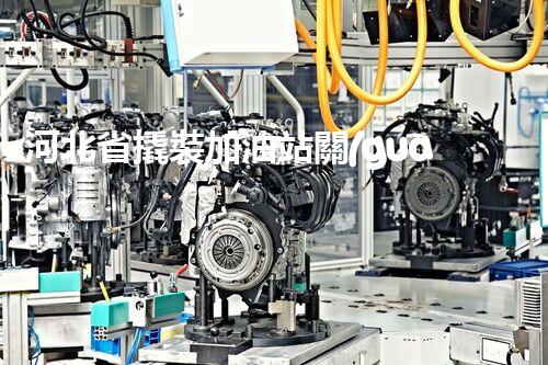 河北省撬裝加油站關(guān)鍵技術(shù)突破！化工廠拆除工程的新方法探索？